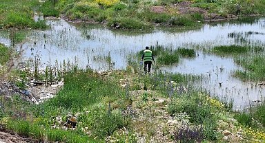 Bayburt'ta kene, bit, pire ve larvalara karşı çalışma başlatıldı