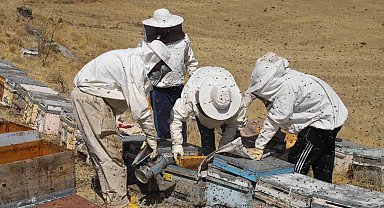 Bayburt'un yaylalarında ve köylerinde arıcılık yapan üreticiler, bal hasadı yapmak için gün sayıyor