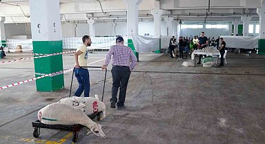 Bayram huzuru Tepebaşı'nda
