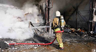 Bayramda en çok hayvan kurtardılar