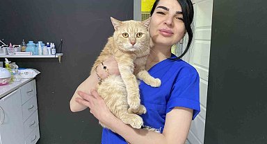 Bayramda evcil hayvan ile seyahat edecek yolcuların dikkat etmesi gerekenler