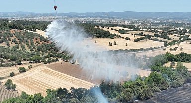 Bayramiç'te tarım arazisinde çıkan yangın kontrol altına alındı