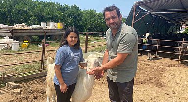 Bayramın en şanslı keçisi kesilmekten kurtuldu