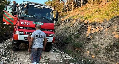 Beypazarı'nda orman yangını