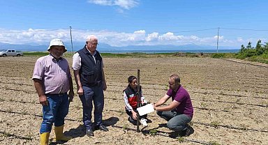 Beyşehir'de domates güvesi ile mücadele başladı