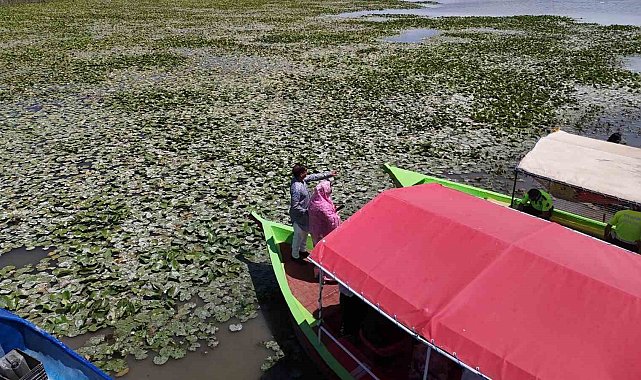 Beyşehir'de "Bangladeş Su Nilüferi" etkinlikleri