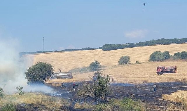 Biga'da tarım arazisinde çıkan yangın kontrol altına alındı