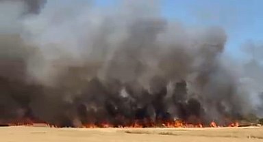 Biga'da tarım arazisinde yangın çıktı