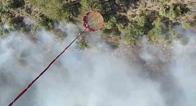 Bigadiç'te orman yangını