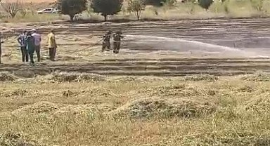 Bilecik'te anız yangını söndürüldü