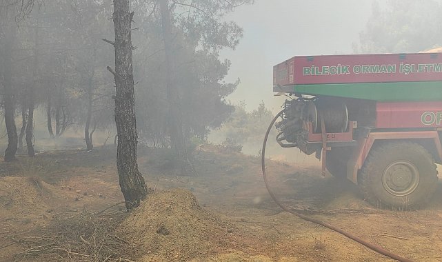 Bilecik'te buğday tarlasında çıkan yangın ormanlık alana sıçradı