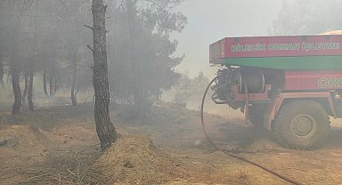 Bilecik'te buğday tarlasında çıkan yangın ormanlık alana sıçradı