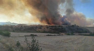 Bilecik'te çıkan orman yangını NATO tesislerine sıçradı