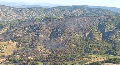 Bilecik'te dün çıkan orman yangını kontrol altına alındı