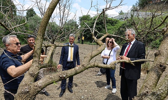 Bilecik'te meyve bahçelerinde don zararına karşı eğitim düzenlendi