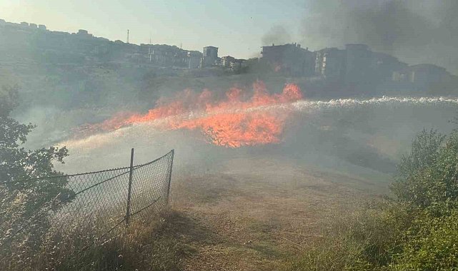 Bilecik'te otluk alanda çıkan yangın söndürüldü
