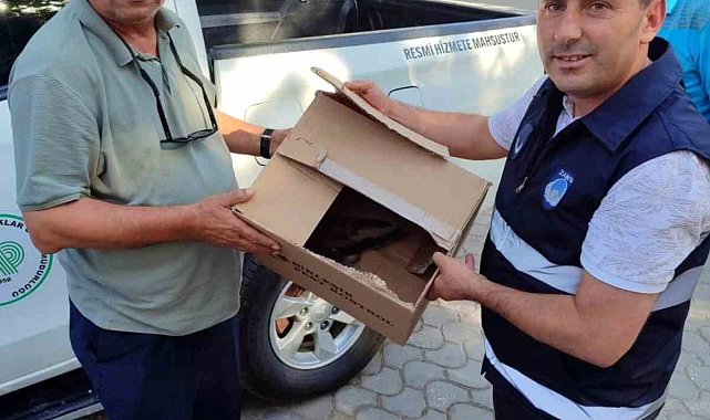 Bilecik'te yaralı olarak bulunan atmaca koruma altına alındı