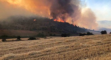 Bilecik'teki yangın kontrol altına alındı: 50 hektar alan zarar gördü