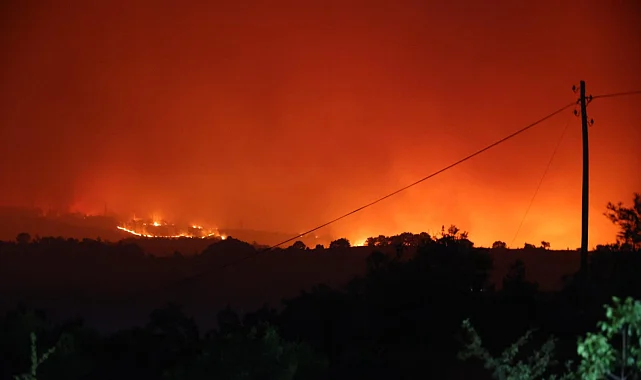 Bilecik'te korkutan orman yangını