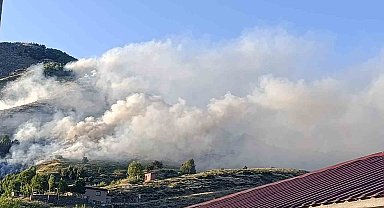 Bingöl'de ağaçlık alanda yangın