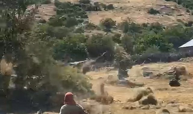 Bingöl'de hortum otları uçurdu