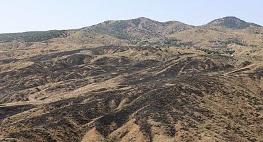 Bingöl'deki orman yangını söndürüldü