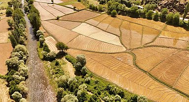 Bitlis'te yüz yıllardır imece usulü çeltik ekimi yapılıyor