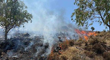 Bodrum Türkbükü'nde makilik yangını