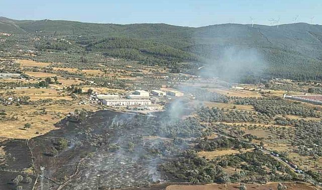 Bodrum'da çıkan zirai alan yangını büyümeden söndürüldü