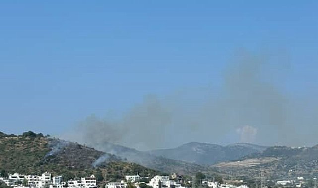 Bodrum'da makilik alanda yangın çıktı