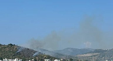 Bodrum'da makilik alanda yangın çıktı