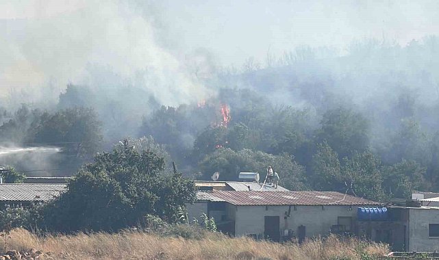 Bodrum'da makilik alanda yangın paniği