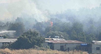 Bodrum'da makilik alanda yangın paniği