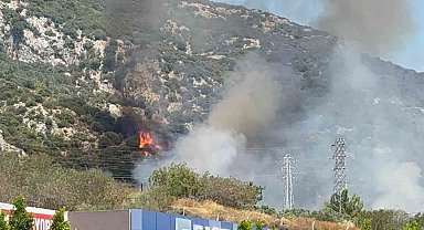 Bodrum'da makilik ve ormanlık alanda yangın çıktı