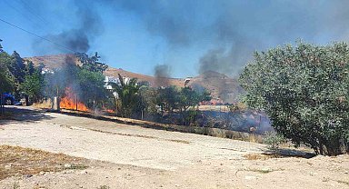 Bodrum'da otluk alanda çıkan yangın site sakinlerini korkuttu