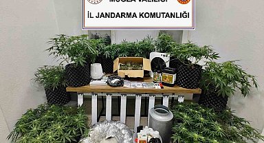 Bodrum'da uyuşturucu baskını: 2 gözaltı