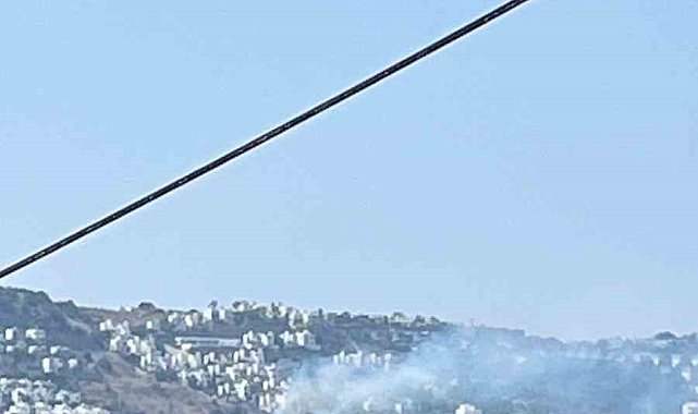 Bodrum'daki yangın büyümeden söndürüldü