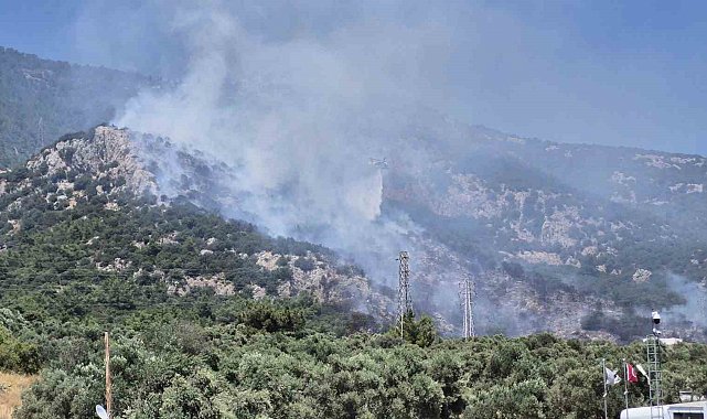 Bodrum'daki yangın kontrol altına alındı