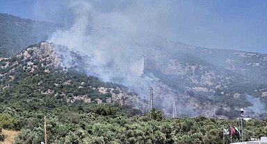 Bodrum'daki yangın kontrol altına alındı