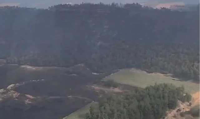 Bolu ve Bilecik'te yangınlar kontrol altında! Sakarya ve Manisa'dan sevindirici haberler bekleniyor
