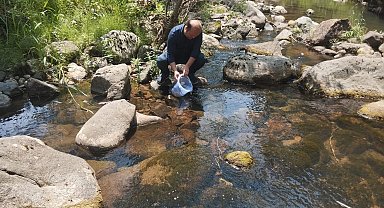 Bolu'da 12 bin kırmızı benekli alabalık yavrusu orman içi derelere bırakıldı