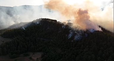 Bolu'da orman yangınına müdahale sürüyor: Yanan bölge havadan görüntülendi