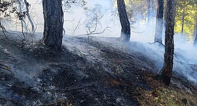 Bolu'da örtü yangını: 1 hektar zarar gördü