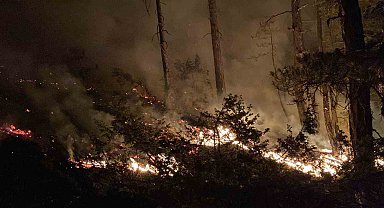 Bolu'daki orman yangını 8 saatte kontrol altına alındı
