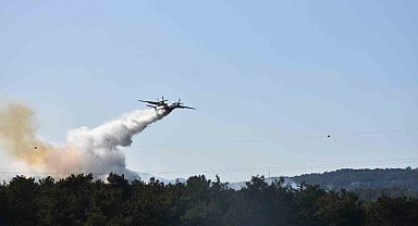 Bornova'daki orman yangını soruşturmasında 2 tutuklama