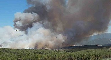 Bornova'daki yangın büyüdü; 8 uçak ve 17 helikopterle müdahale sürüyor
