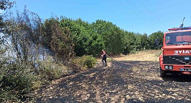 Bozdoğan'da arazi yangını