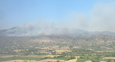 Bozdoğan'da makilik yangını