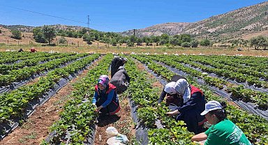 Bozkır'da kadın çiftçilere yönelik eğitim ve destek ziyaretleri
