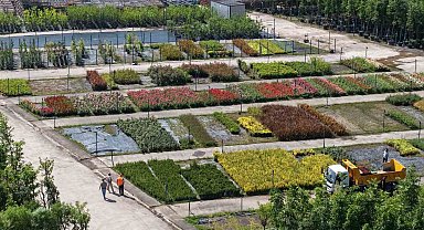 Bu fidanlık Kocaeli'yi yeşillendiriyor